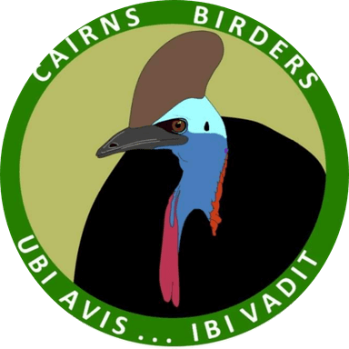 Cairns Birders